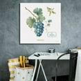 thumbnail image 5 of Epic Graffiti 'My Greenhouse Fruit III' by Lisa Audit, Canvas Wall Art, 26"x26", 5 of 8
