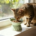 thumbnail image 5 of Vacemry under $5 Elevated Ceramic Cat Bowl, Cat Food Bowl Large Capacity Pet Dish Cute Drinking Bowl for Neck Support, Ergonomic Elevated Design for Easier Digestion, 5 of 6