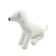 thumbnail image 3 of Maniquíes de cuero PU para perros, maniquí de exhibición de ropa para mascotas, suministros para mascotas, modelos para perros Talla L Blanco Sunnimix Maniquí de perros, 3 of 8