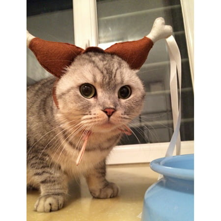 Lovely Drumstick Headgear Pet Cat Dog Costume Hat Party Photo Props Accessories Size:S