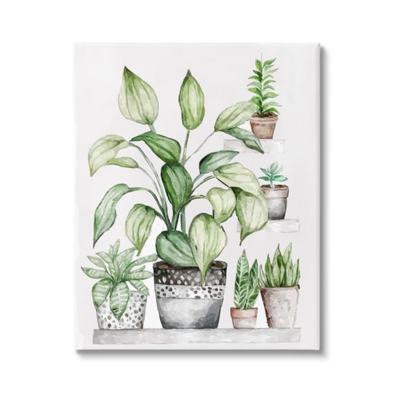 Stupell Industries Potted Plant Garden Botanicals Botanical & Floral Painting Gallery Wrapped Canvas Print Wall Art