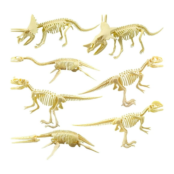 Dinosaur Skeleton Models Realistic Dinosaur Fossils for Gift for Kids Child