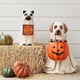 thumbnail image 2 of Decoración hogareña Ghost Dog Candy Bowl Stand, Halloween Dog Candy Bowl, Halloween Dog Candy Stand, Outdoor Halloween Candy Bowl, Halloween Candy Bowl Big Pumpkin Candy Plate - Perro Zhivalor XMWJ133-2, 2 of 3