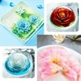 thumbnail image 2 of Cateissary 11 unids/set 3D gelatina flor arte herramientas gelatina pastel gelatina pudín boquilla jeringa Rusia boquilla Kit DIY pastel decoración Herramientas y accesorios para hornear F Cateissary JJ24269-06B, 2 of 6