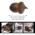 thumbnail image 2 of 48 PCS Artificial Peanuts Fake Decorations Vegetables Nuts Family Gatherings Kitchen Food Props Home Fall Harvest Party Decor Christmas Photography Props, 2 of 3