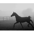 thumbnail image 2 of Anonymous 31x26 Gold Ornate Wood Framed with Double Matting Museum Art Print Titled - Morning Pasture II, 2 of 4