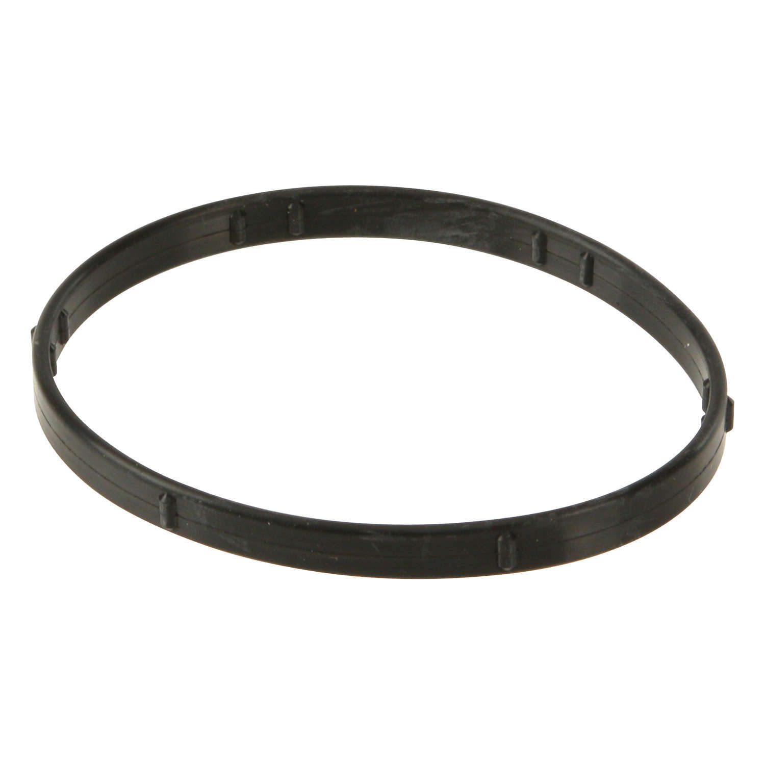 Eurospare Thermostat ORing