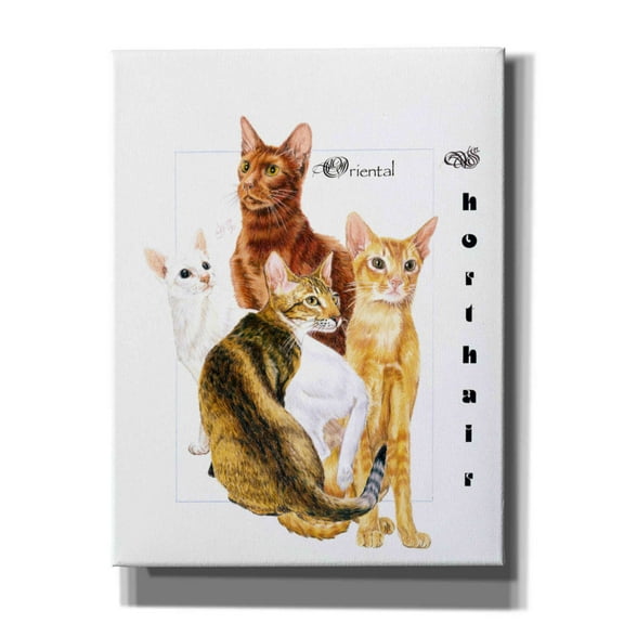 Epic Graffiti 'Oriental Shorthair' by Barbara Keith, Canvas Wall Art, 26"x34"