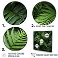 thumbnail image 3 of Designart "Forest Of Emerald Green Ferns" Plants Floater Framed Wall Art Prints, 3 of 5