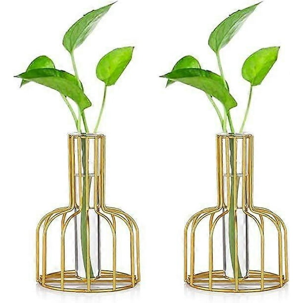Glass Propagation Station with Metal Frame, Gold Flower Vase, Test Tube Vase for Hydroponic Plant, Small Bud Vase for Home Kitchen Office Table Top De