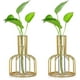 thumbnail image 1 of Glass Propagation Station with Metal Frame, Gold Flower Vase, Test Tube Vase for Hydroponic Plant, Small Bud Vase for Home Kitchen Office Table Top De, 1 of 5