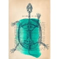thumbnail image 3 of Stef, Lamanche 18x24 Black Modern Framed Museum Art Print Titled - Memories of the Wild I, 3 of 5