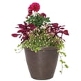 thumbnail image 3 of Suncast Chariton 16 Pouces Résine Ronde Jardinière Décorative Pot de Fleurs (2 Pack), 3 of 4