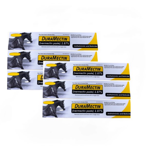 6 Pack of Paste, 0.21 Ounces, Apple Flavored Horse Deworm-er Control of Large strongyles, Small Strongyles, Pinworms, Ascarids, Hairworms, Large-mouth Stomach Worms, Bots, Lungworms, Intest