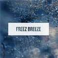 thumbnail image 2 of Exotica Car Air Freshener | Spill-proof Can | Organic | For Home & Auto | Long Lasting Freshness | (Pack of 12) (Freeze Breeze), 2 of 4