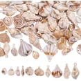 thumbnail image 1 of 80 colgantes de concha acrílica opaca, 10 estilos, conectores de concha marina, colgantes de concha en espiral, dijes, suministros para manualidades., 1 of 5
