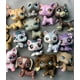 thumbnail image 1 of Junior Pet Shop LPS Pets Collectable, (LPS Pets 5pcs Random & LPS Accesorios 7 PCS Random Junior Pet Shop Junior Pet Shop, 1 of 2