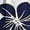Navy, variant on Fengqque Jumpsuits for Women Summer Wide Leg Overalls Shorts Floral Rompers Boho Outfits with Pockets Navy XL(XL)