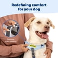 thumbnail image 4 of PetSafe Easy Walk Comfort No-Pull Dog Harness, 5 Adjustement points, S/M, Green, 4 of 9