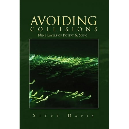Avoiding Collisions (Hardcover)