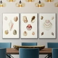 thumbnail image 2 of Pastel Knorr Shells IV - Framed Premium Gallery Wrapped Canvas L Frame 3 Piece Set - Ready to Hang, 2 of 9