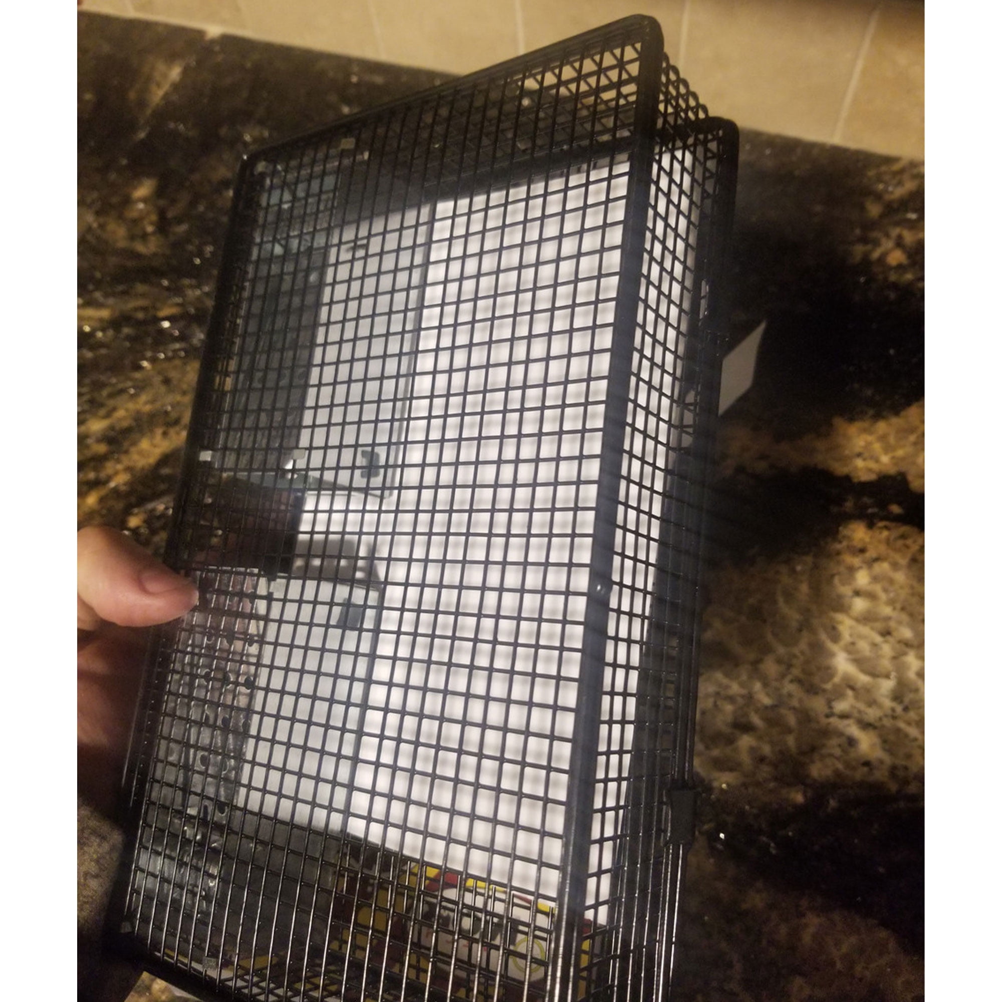 Rugged Ranch Products Mousinator Metal Wire Mouse Trap for Pest Control