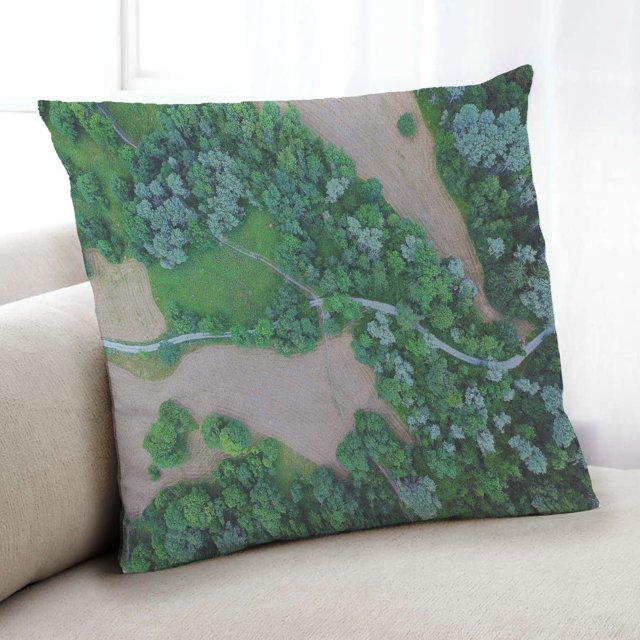 Ahgly Company Earth Nature Coussin d'Intérieur, 18 Pouces par 18 Pouces