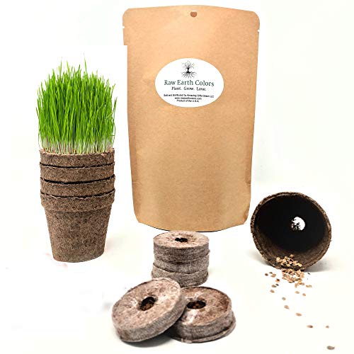 Cat Grass for Indoor Cats Cat Grass Kit with Seeds!