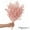 Light Sakura Pink, variant on Uniquewise 19" Peng Lai Song Real Floral Stem Chic Vase Filler & Accent for Bouquet Centerpiece & Ornamental Display Ideal for Home Office Boutique Café Resto Bar and Event Décor, Light Sakura Pink