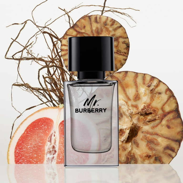 Burberry Mr. Burberry Eau De Toilette for Men, 5.0 Fl Oz - Walmart.com