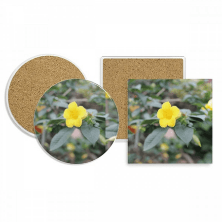 

Yellow Flower Rattan Coaster Cup Mug Holder Absorbent Stone Cork Base Set
