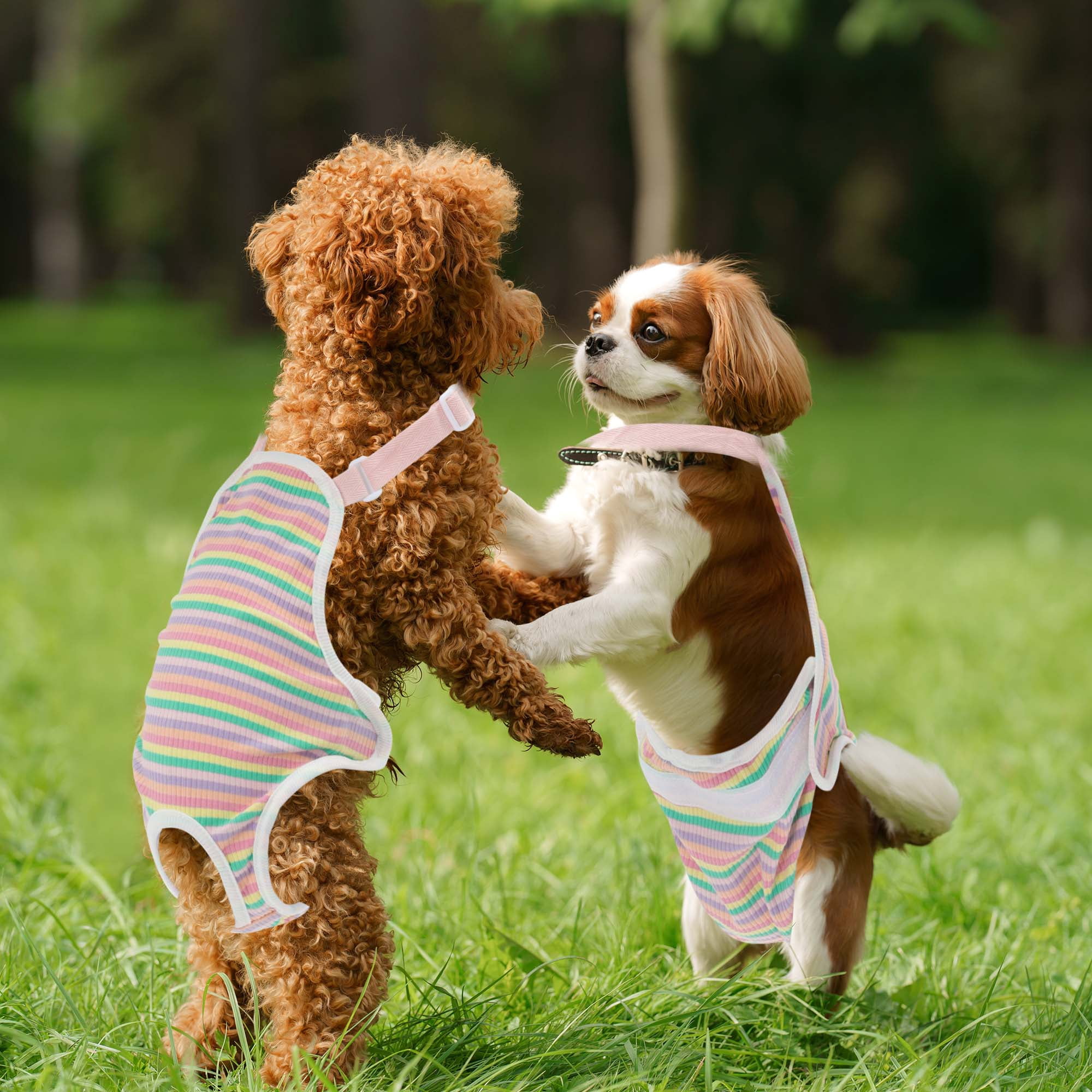 Unique Bargains Dog Diapers for Dogs Washable Reusable Pants Pink L