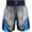 Blue, variant on Muay Thai Trunks Martial Arts Sports Boxing Red XL