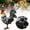 A, variant on 16" Metal Rooster Decor,Yard Chicken Decorations, Outdoor Garden Statues, Metal Chicken Sculpture for Backyard Patio Kitchen Decor & Lawn Ornaments
