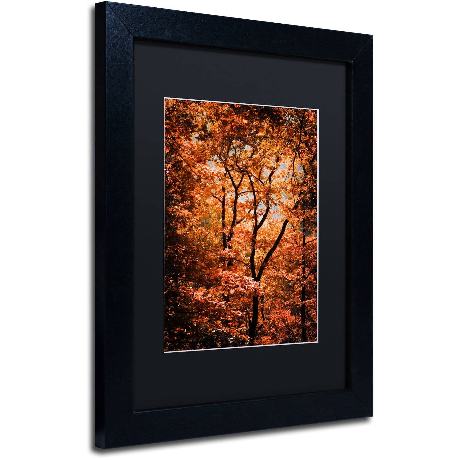 Trademark Fine Art "Autumn Whispers" Canvas Art by Philippe Sainte-Laudy Black Matte, Black Frame