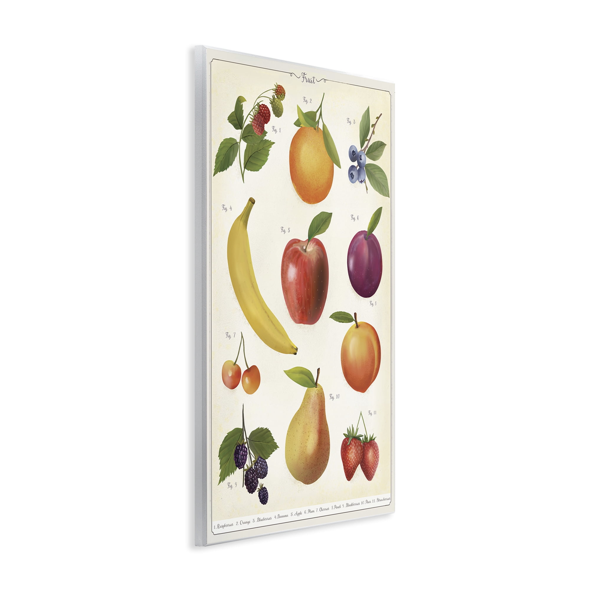 Stupell Industries Fruit Collection Studies Wall Plaque Art, design by Diane Neukirch