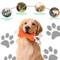 thumbnail image 3 of Dog Rope Chew, Colorful Braided Tug for Tough Play, Teething Durable Knot Interactive, Random Color, Dental Health Activity Supplies, 3 of 5