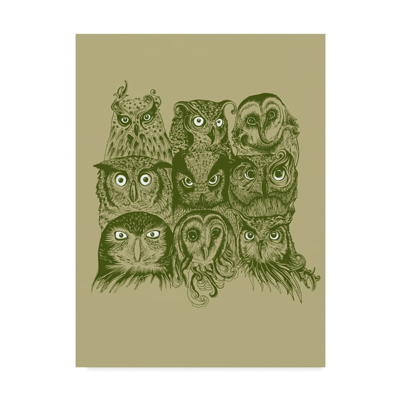 Trademark Fine Art 'Nine Owls' Canvas Art by Rachel Caldwell