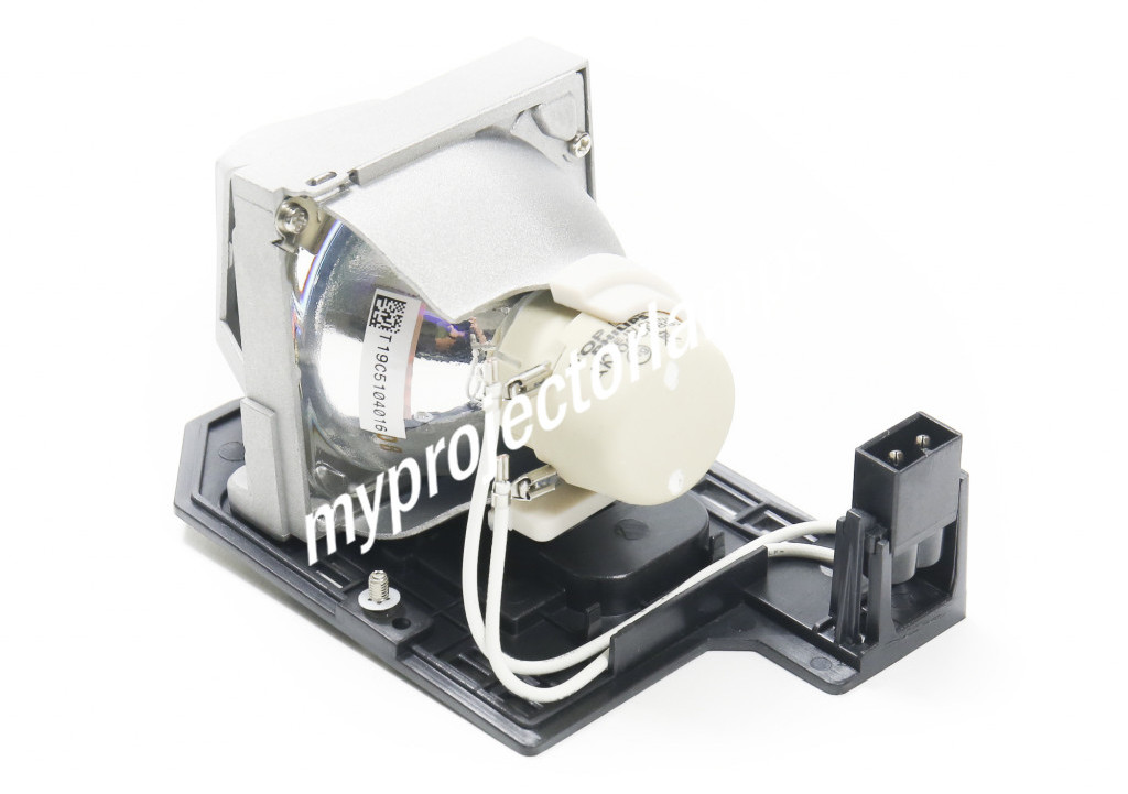 Optoma SP.8RU01GC01 Projector Lamp with Module - image 2 of 3