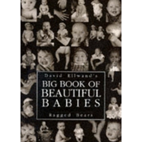 Big Book of Beautiful Babies (Hardcover) by David Ellwand