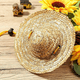 thumbnail image 4 of Sombrero para mascotas Sombrero de paja ajustable Hawaii jardín sol cubo gorra para perros pequeños cachorros gatos, 4 of 5