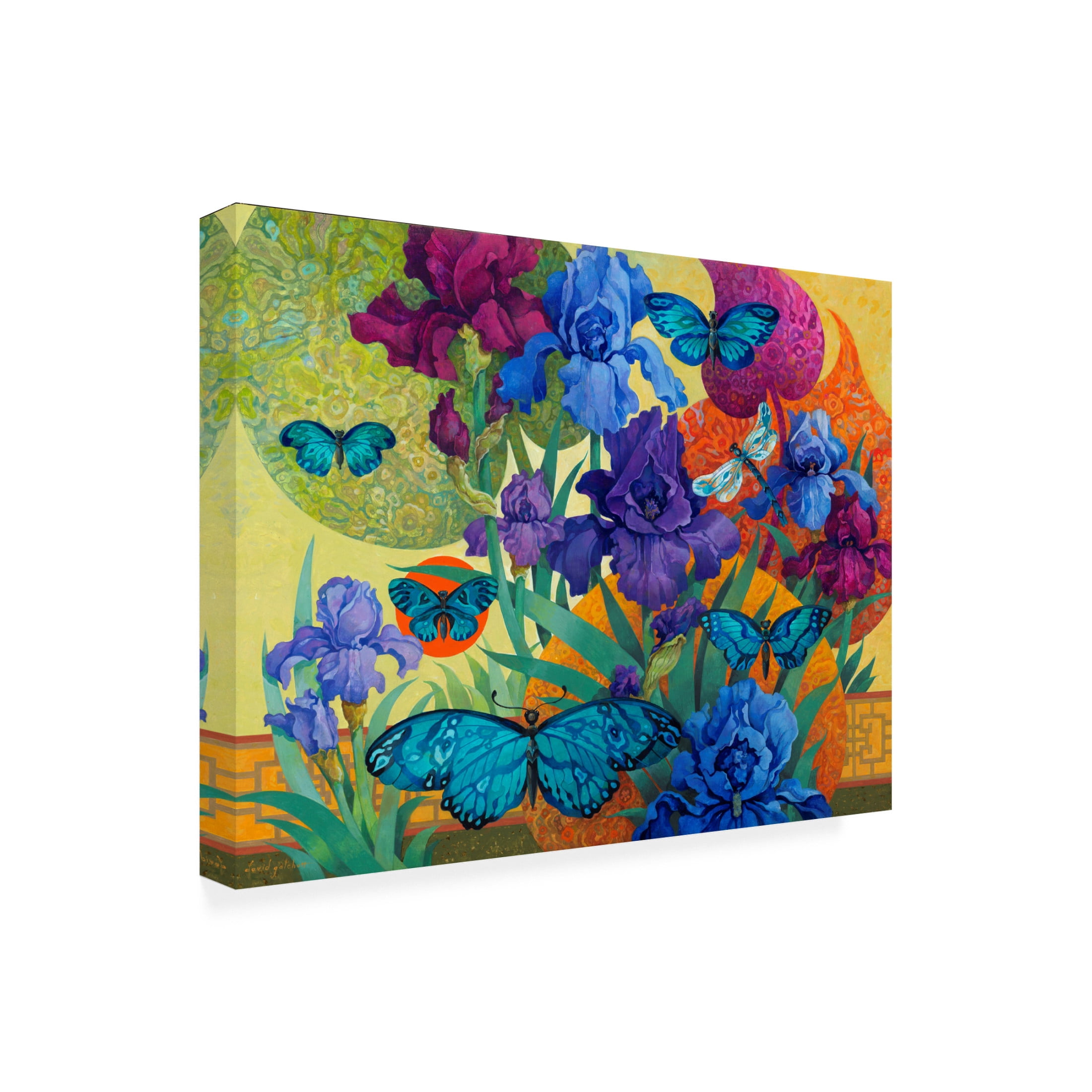 Canvas Wall Art - David Galchutt 'Iris Garden' Wall Art for Living Room, Bedroom, or Office Décor by Trademark Fine Art - 47 x 35 Inches