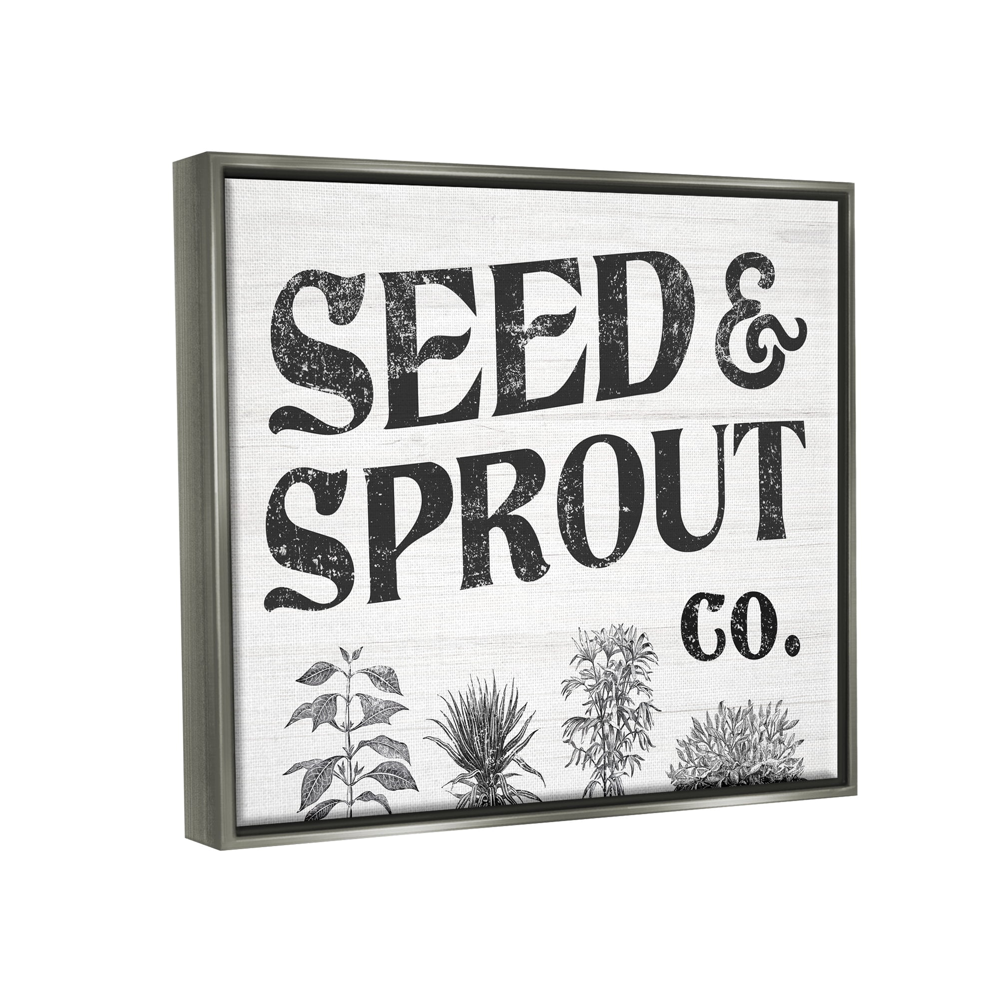 Stupell Industries Seed & Sprout Antique Botanicals Gardening Typography Graphic Art Luster Gray Floating Framed Canvas Print Wall Art, Design by Daphne Polselli