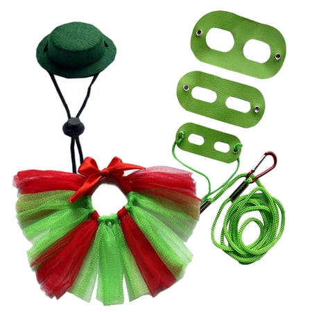 Bearded Dragon Supplies Tutu Dress + Leash Party Accessories Photo Props Dress Up Costume Pet Headdress