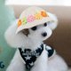 thumbnail image 4 of Sombrero de playa para el sol para mascotas, cachorro, perro de peluche, malla de poros transpirable, duradero, a la moda al aire libre (S), 4 of 8