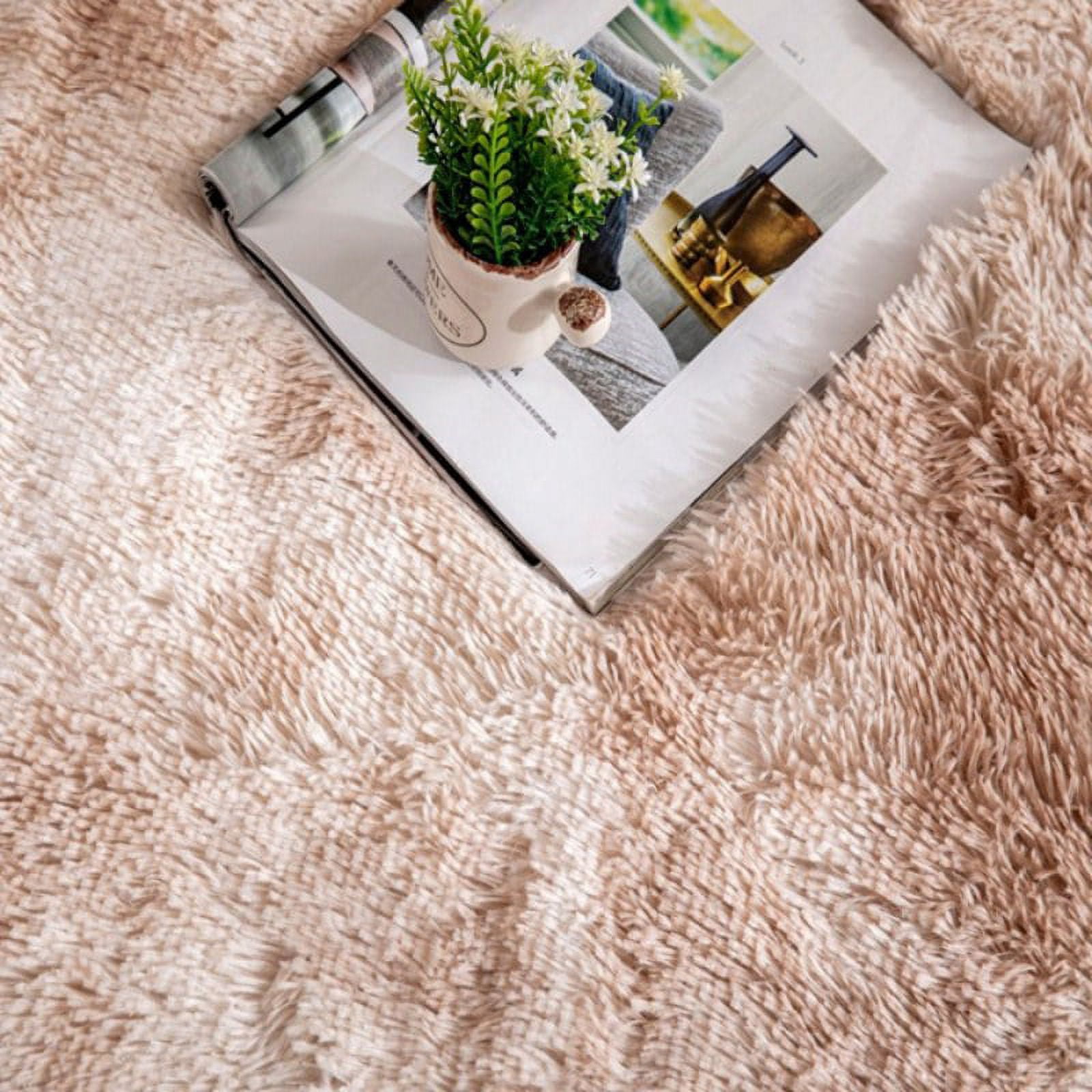 Luxury Fluffy Area Rugs Shag Indoor Nursery Rug For Boys Girls Extra Soft Fuzzy Kids Bedroom Carpets Plush Living Room Home Decorate Area Rugs, 4 Ft X 6 Ft