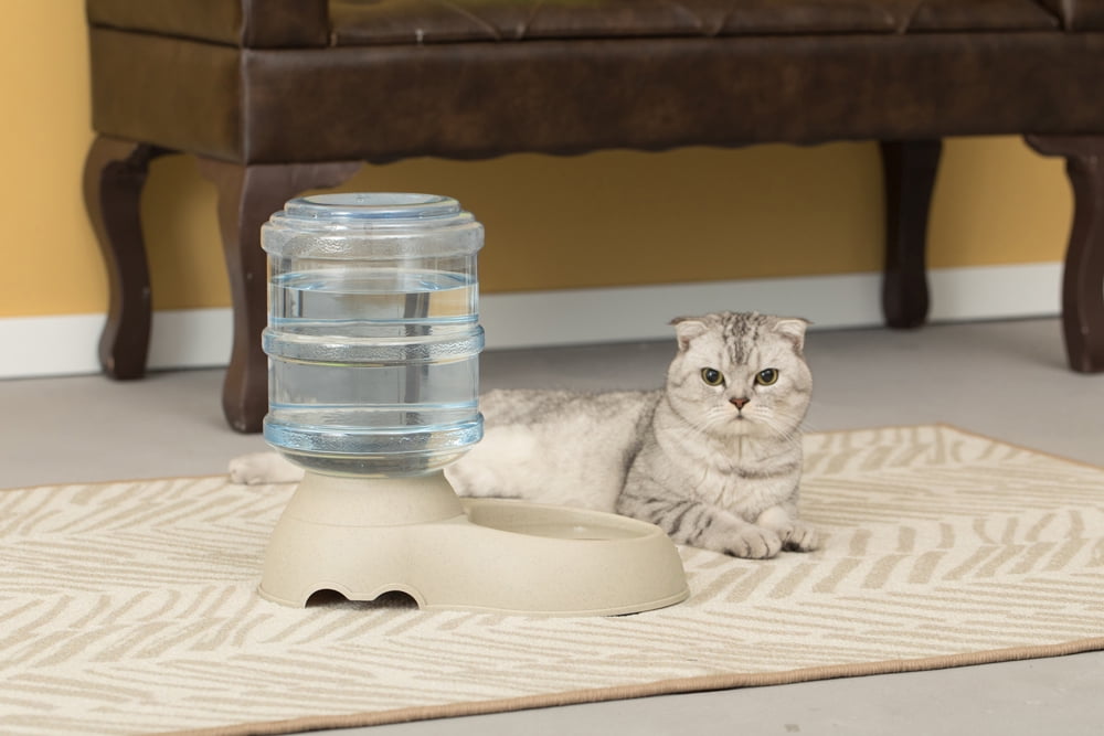 Automatic Self Dispensing Gravity Pet Feeder and Waterer for Cats and Dogs