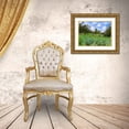 thumbnail image 3 of Grayscale 24x19 Gold Ornate Wood Framed with Double Matting Museum Art Print Titled - Desert Color II, 3 of 4