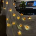 thumbnail image 5 of Decoraciones 3D Luces de hadas, Bellota de otoño de tamaño completo 2M 20 LED USB con control remoto para decoración de baby shower de cocina, 5 of 5