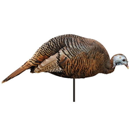 Hen Turkey Decoy – Montana Dinner Belle